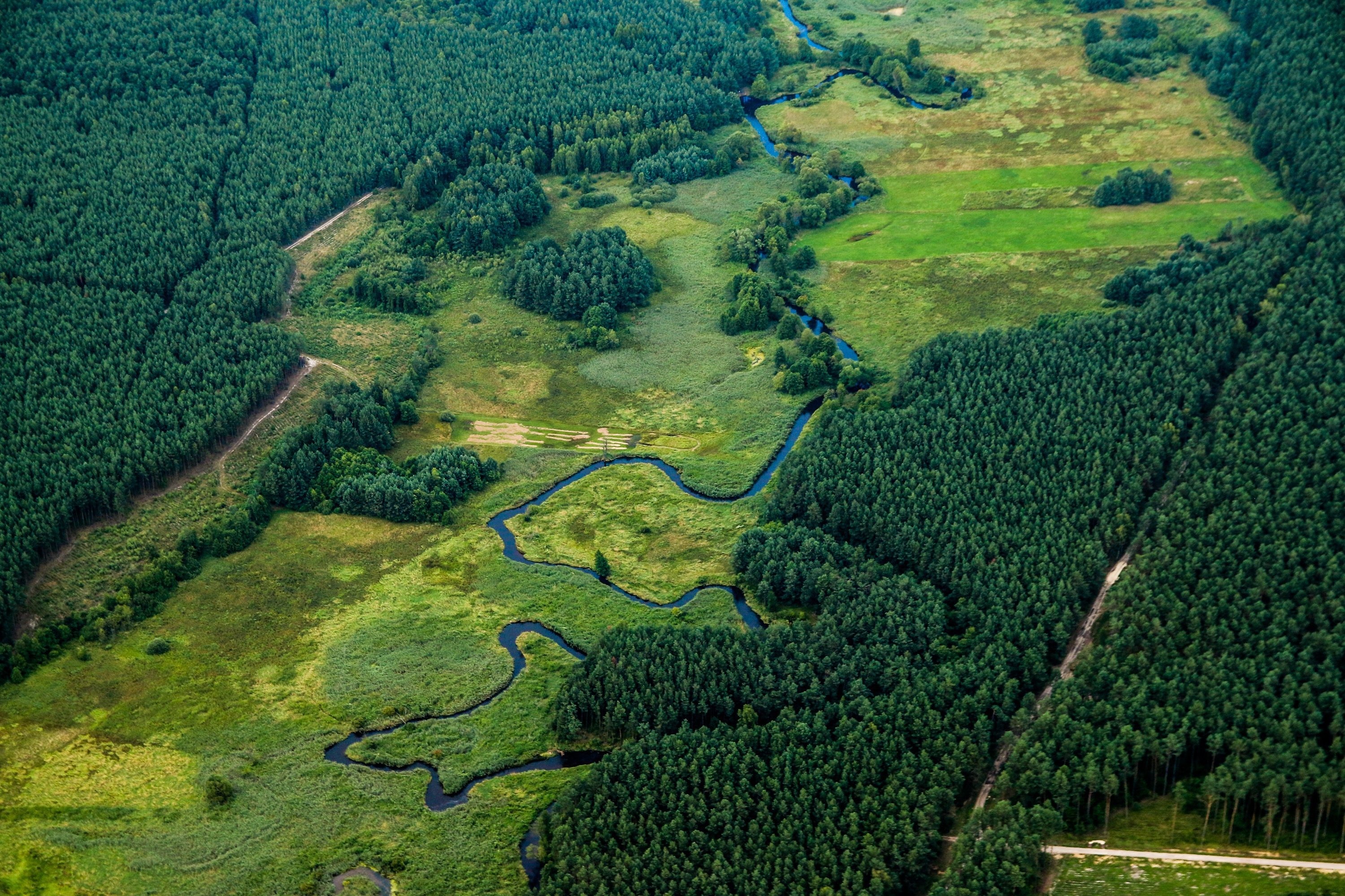 Green river